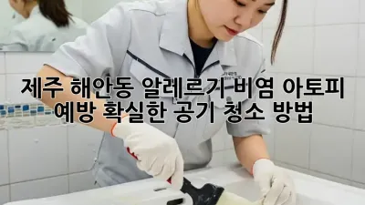 제주 해안동 알레르기 비염, 아토피 예방! 확실한 공기 청소 방법
